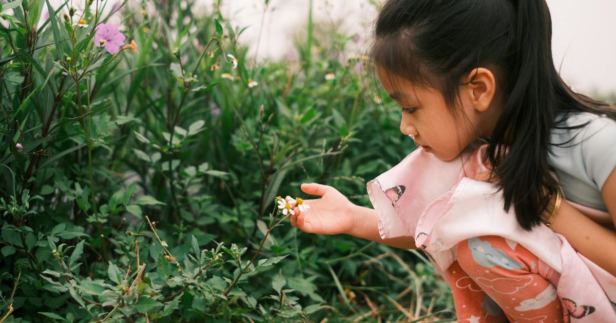 植物を静かに観察する穏やかな子どもの様子