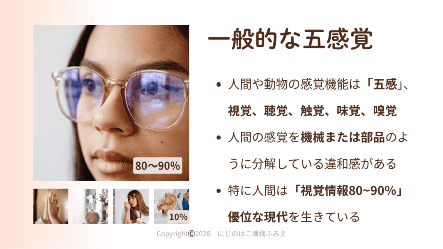 人間の一般的な五感（視覚・聴覚・触覚・味覚・嗅覚）