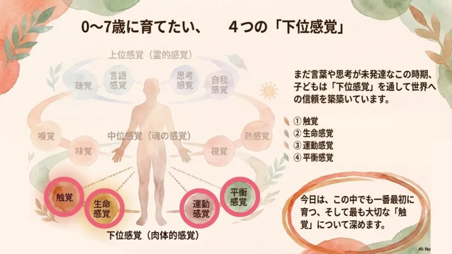 0〜7歳で育てたい4つの下位感覚(触覚・生命感覚・運動感覚・平衡感覚)について解説したシュタイナー教育の図解スライド