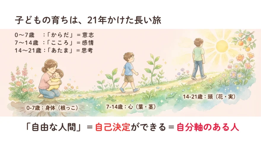 子どもの成長プロセスを解説するスライド。0〜7歳の「からだ・身体・根っこ」、7〜14歳の「こころ・心・葉や茎」、14〜21歳の「あたま・頭・花や実」のステップと自分軸の育て方